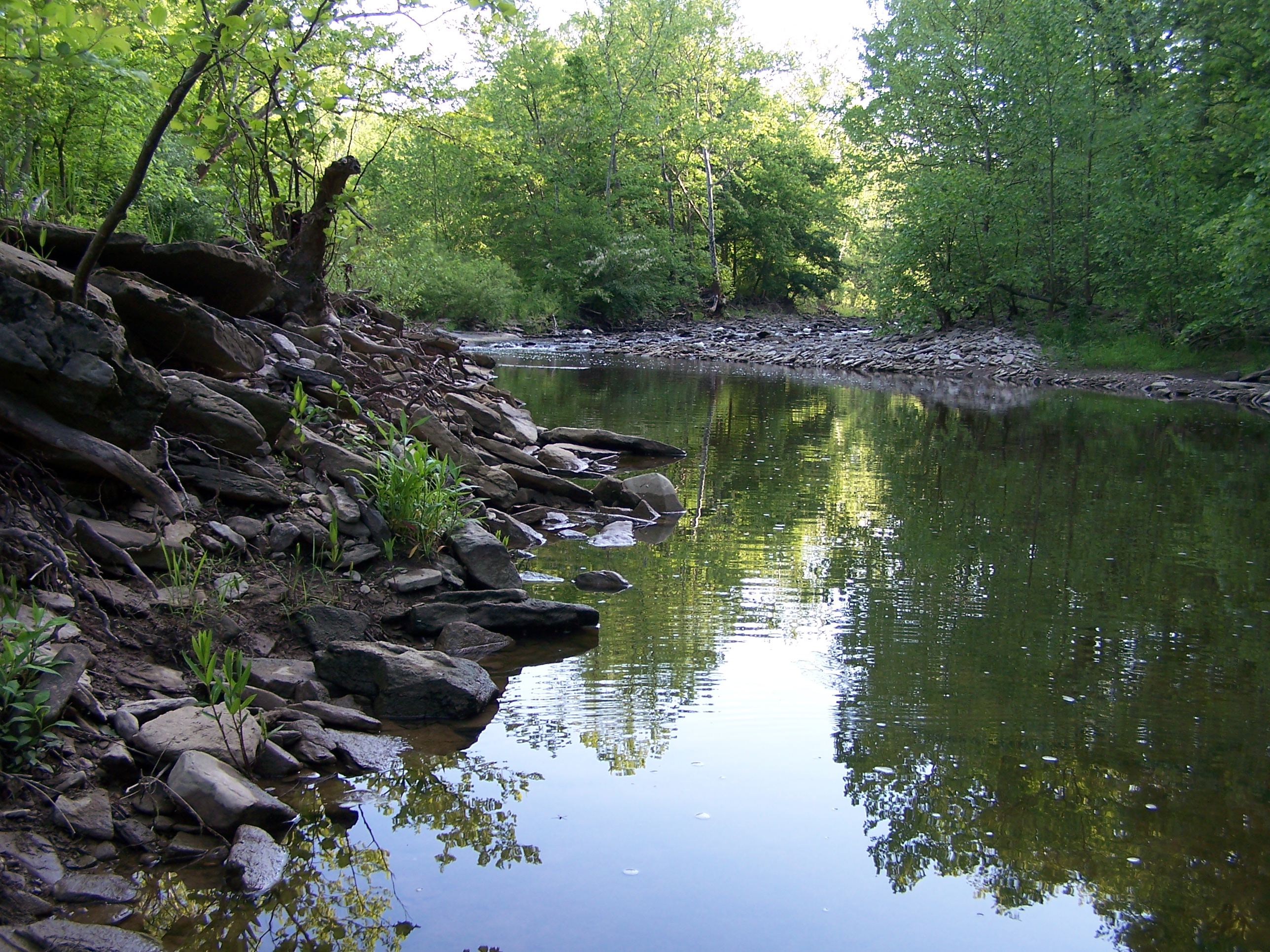 Straight Creek Valley Farm